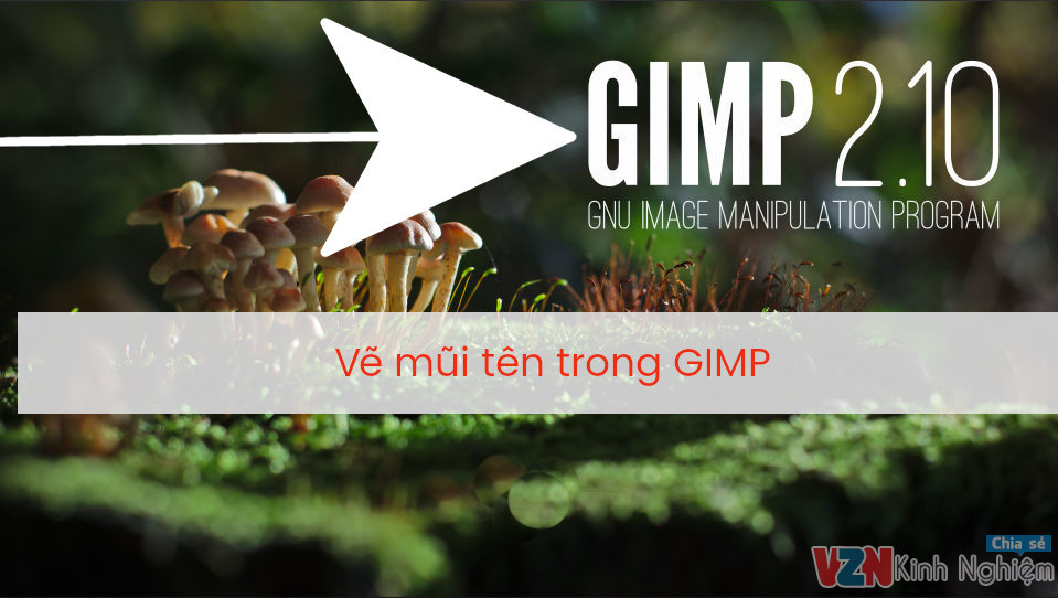 Hướng dẫn vẽ mũi tên trong GIMP 2.10 (trên Ubuntu)